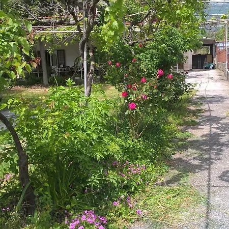 Adria Guest house 3*